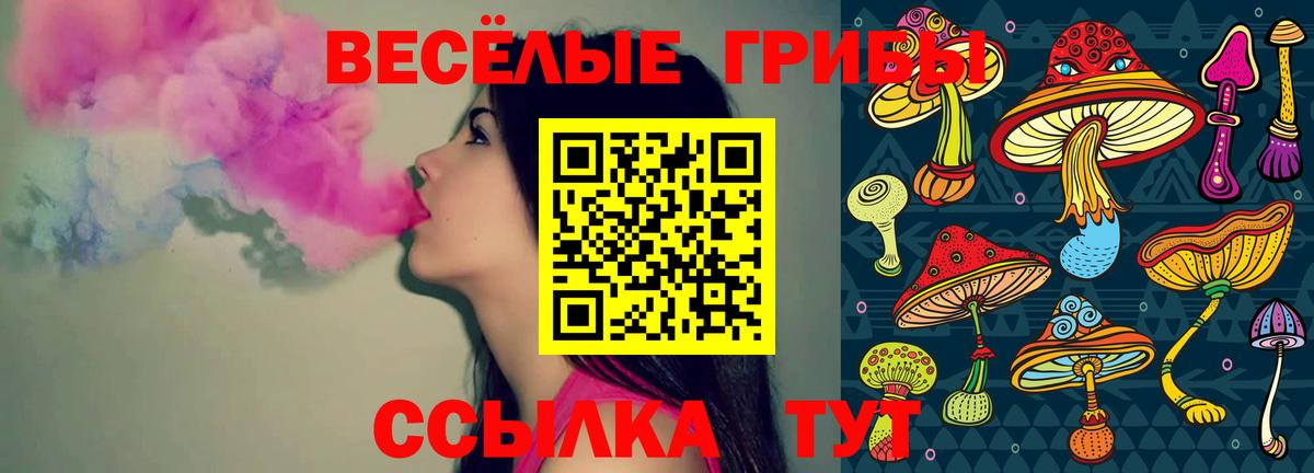Псилоцибиновые грибы прущие грибы  Псилоцибиновые грибы Magic Shrooms  Вход с VPN  Новокубанск 
